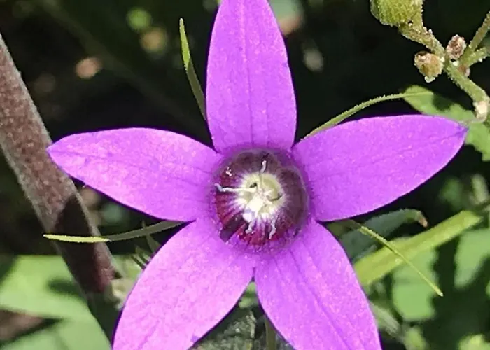 Casa Do Moinho Novo مزرعة للإقامة *